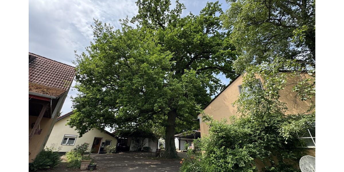 Der Neuenhof - Gewerbeobjekt Remagen | Angebot:24748296