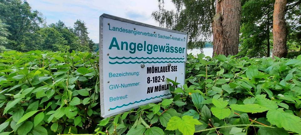 Bungalow Gräfenhainichen Zschornewitz - 95.000&euro; | Angebot:23630831