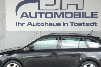 Skoda Fabia 149.988 km 8.490 &euro; Tostedt 21255
