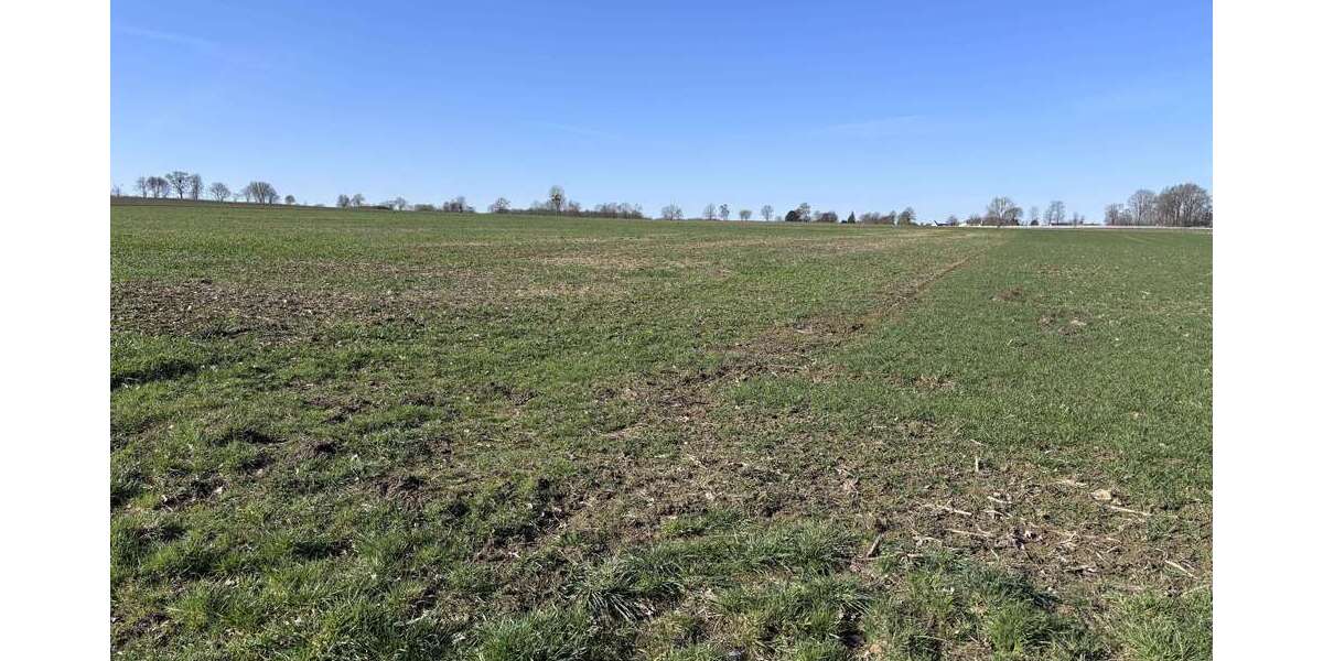 Grundstück Stadthagen - 77.000&euro; | Angebot:27016583