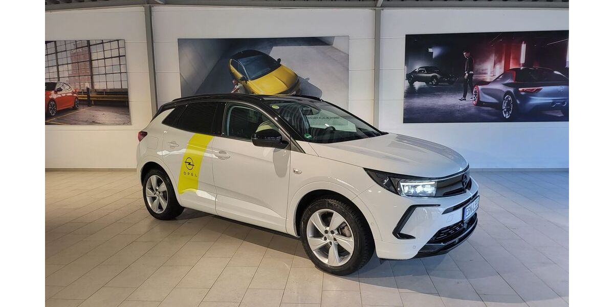 Opel Grandland (X) 53.480 km 28.437 &euro; Ebern 96106