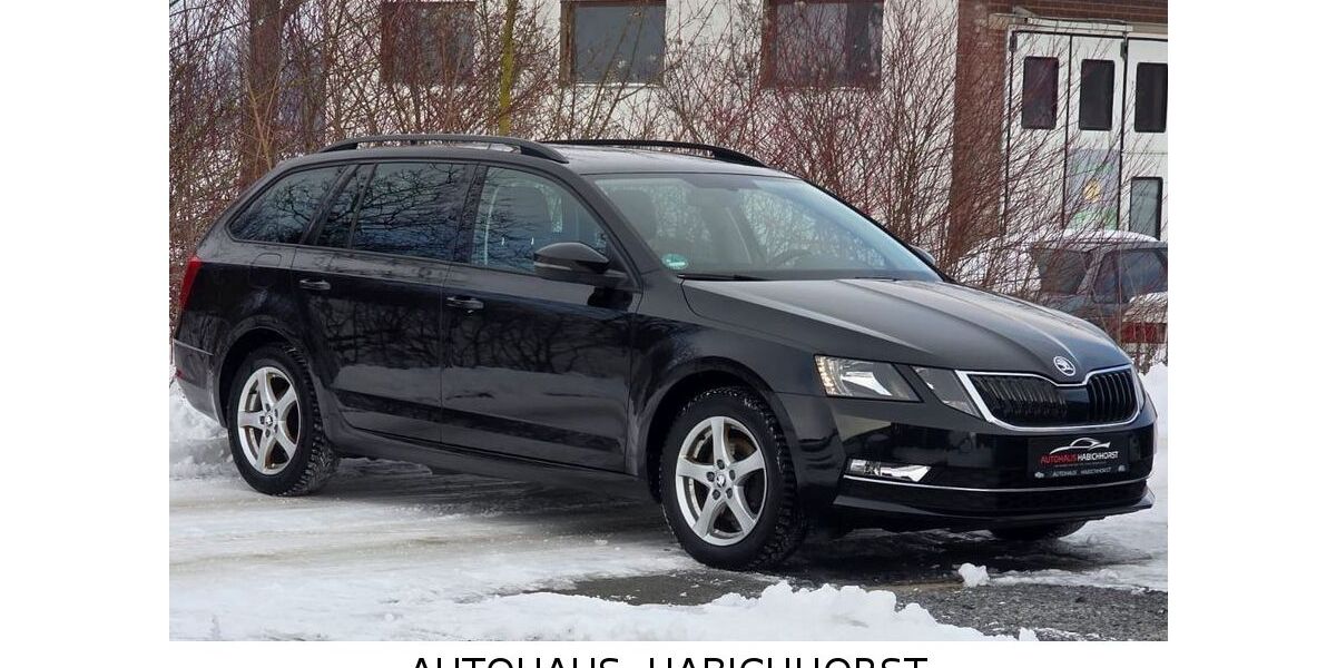 Skoda Octavia 129.987 km 12.590 &euro; Lüdersfeld 31702