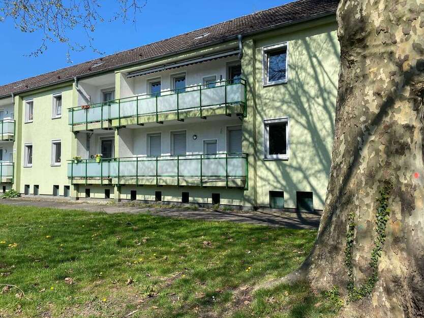 Wohnung zum Mieten in Recklinghausen 437,19 € 56.05 m²