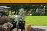 Einfamilienhaus Koblenz Bisholder - 5.5 Zimmer, 177 m&sup2;, 960.000&euro; | Angebot:26972972
