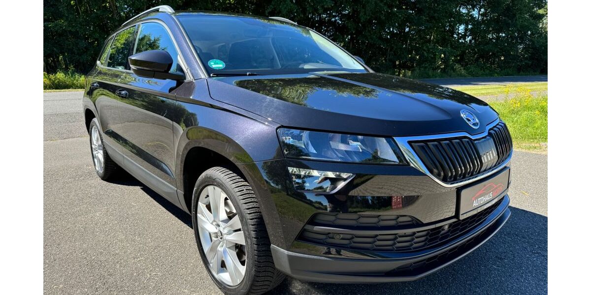 Skoda Karoq 87.000 km 21.300 &euro; Bleckede 21354