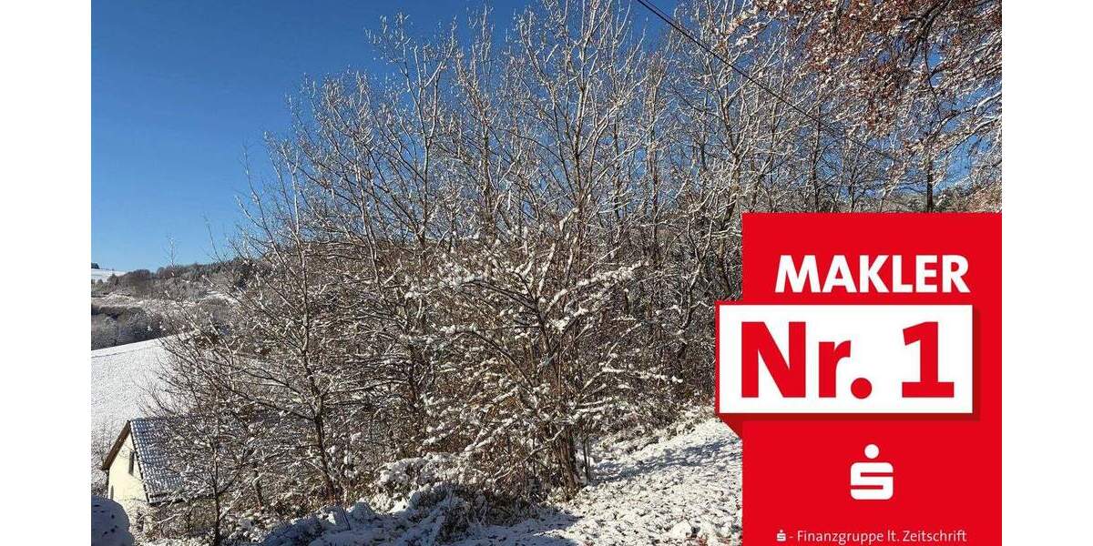 Grundstück Bad Berleburg Diedenshausen - 30.500&euro; | Angebot:25191237