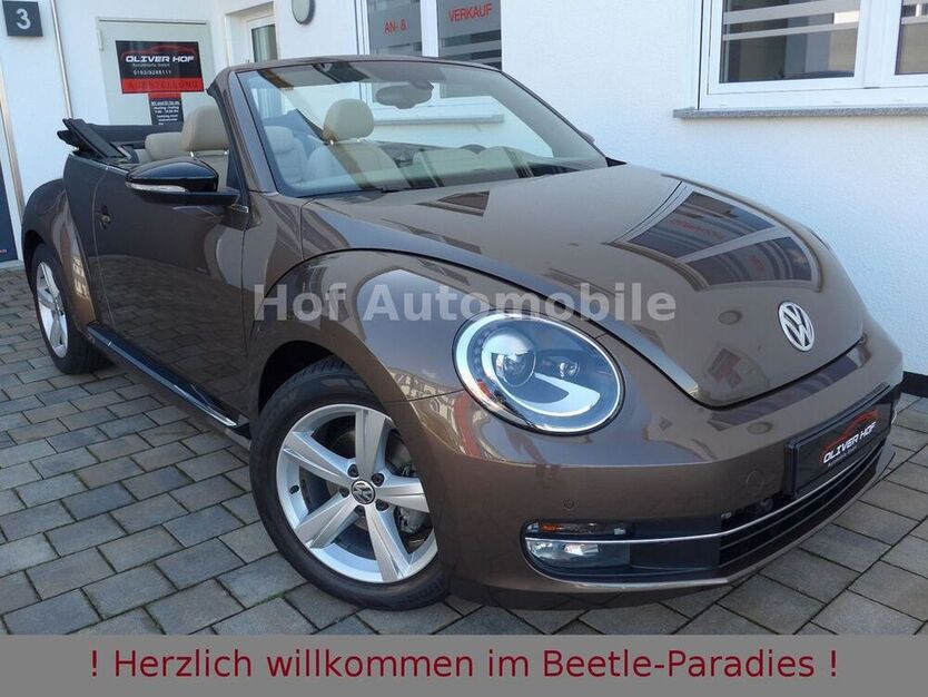 Beetle