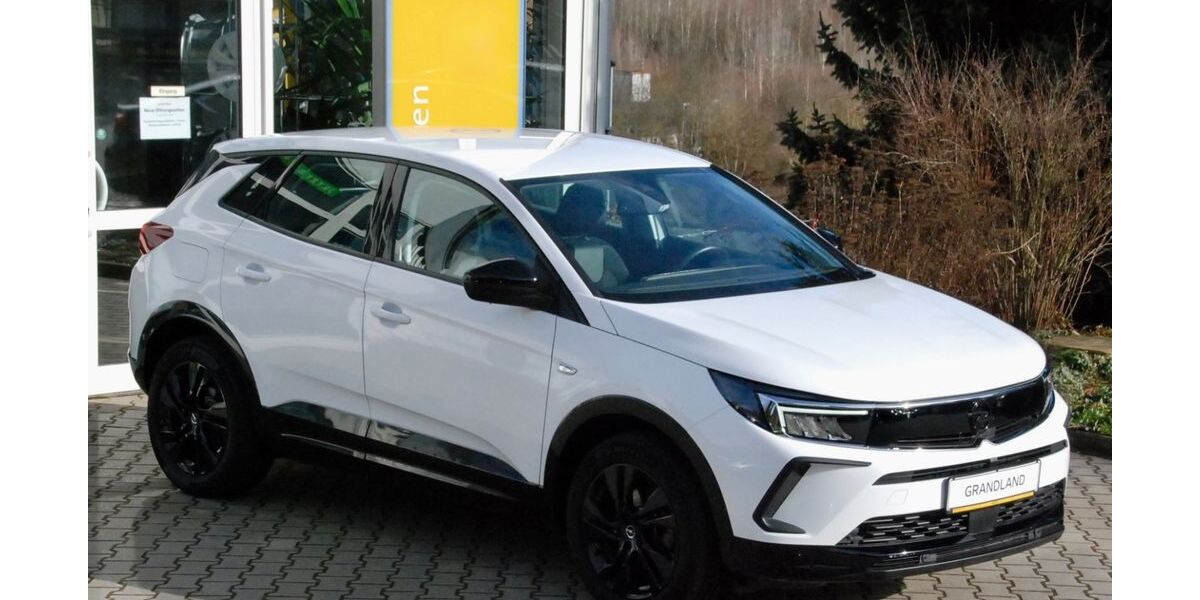 Opel Grandland (X) 4.670 km 24.900 &euro; Dornburg - Camburg 07774