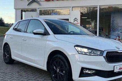 Skoda Fabia 8.700 km 18.190 &euro; Lauter-Bernsbach 08315