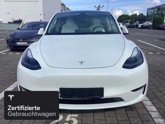 Model Y