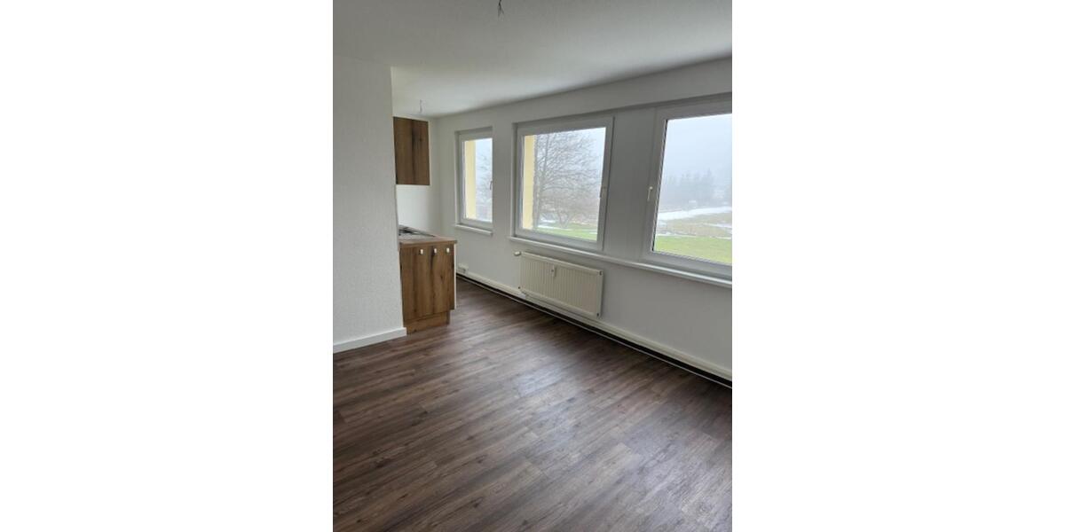 Etagenwohnung Neu Kaliß - 2 Zimmer, 34 m&sup2;, 264&euro; | Angebot:24570996
