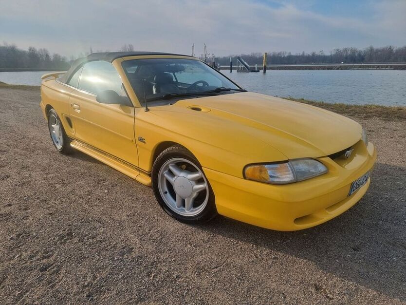 Mustang
