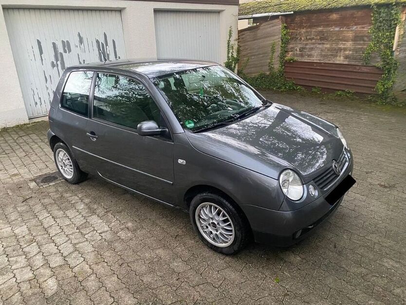 Lupo
