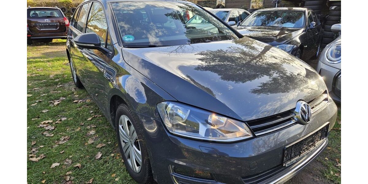 VW Golf 207.700 km 7.900 &euro; Mahlow 15831