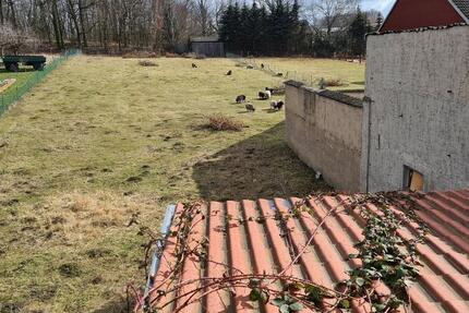 gr. Wohnhaus 12 zimmer