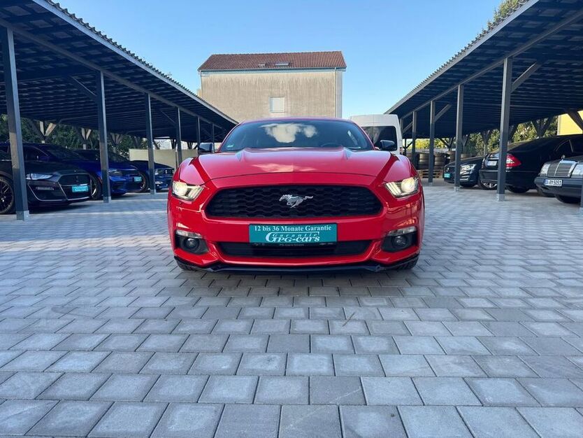 Mustang