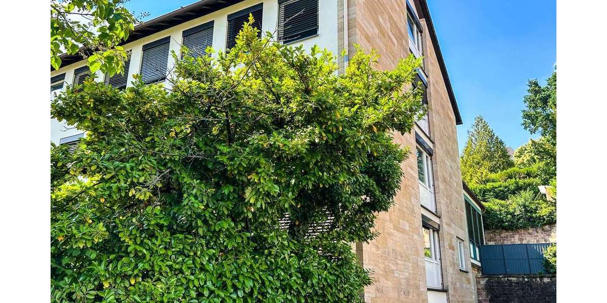 Haus zum Kaufen in Neustadt an der Weinstraße 2.900.000 € 2293 m² 54 zimmer