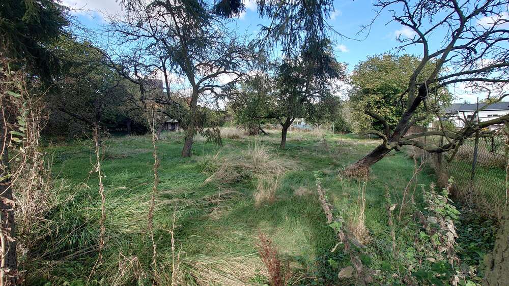 Grundstück zu verkaufen in Jürgenshagen 100.000 € 663 m² zimmer