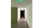 Dachgeschoßwohnung Zwickau - 2 Zimmer, 61 m&sup2;, 370&euro; | Angebot:21113462