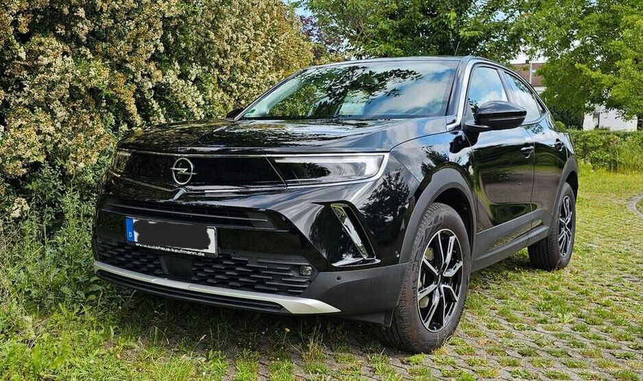 Mokka