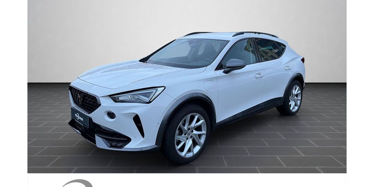 Cupra Formentor 37.208 km 24.290 &euro; Heidelberg 69123