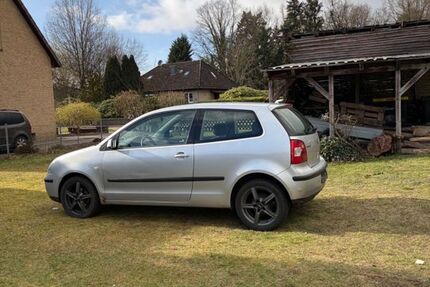 VW Polo 130.000 km 700 &euro; Hodenhagen 29693