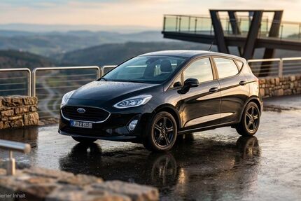 Ford Fiesta 95.000 km 10.500 &euro; Gammelsdorf 85408