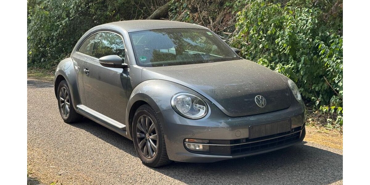 VW Beetle 210.000 km 4.599 &euro; Bad Breisig 53498