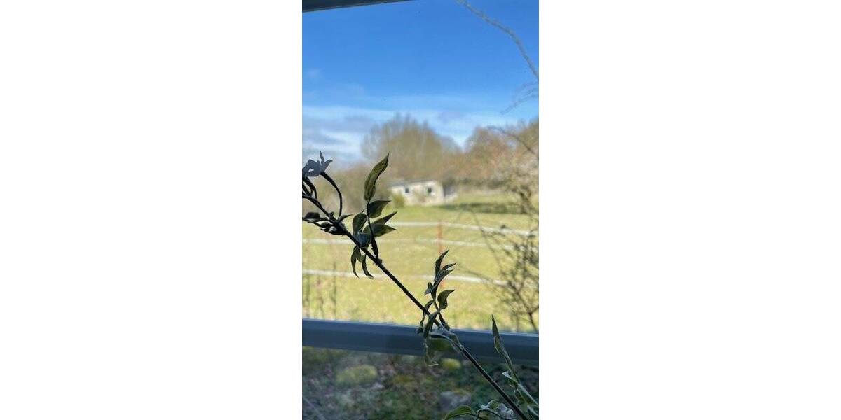 Bungalow Stralendorf - 3 Zimmer, 100 m&sup2;, 490.000&euro; | Angebot:25664621