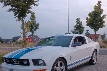Ford Mustang 214.000 km 11.800 &euro; Feuerbach 70469