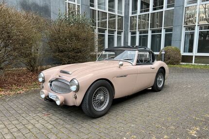 Austin Healey Andere