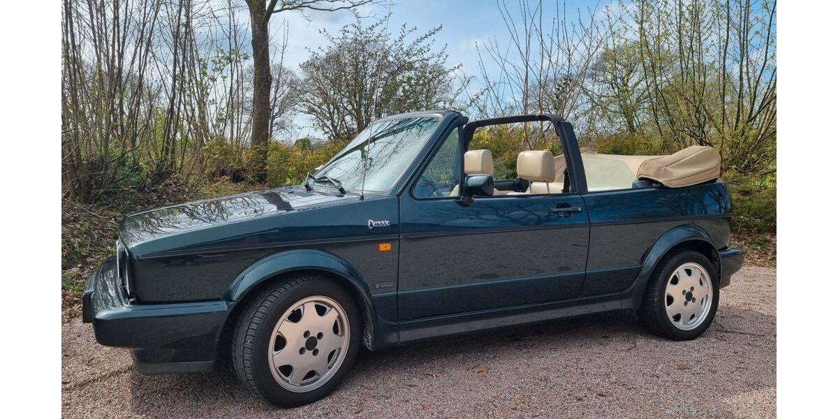 VW Golf 253.000 km 12.450 &euro; Wulfsmoor 25563