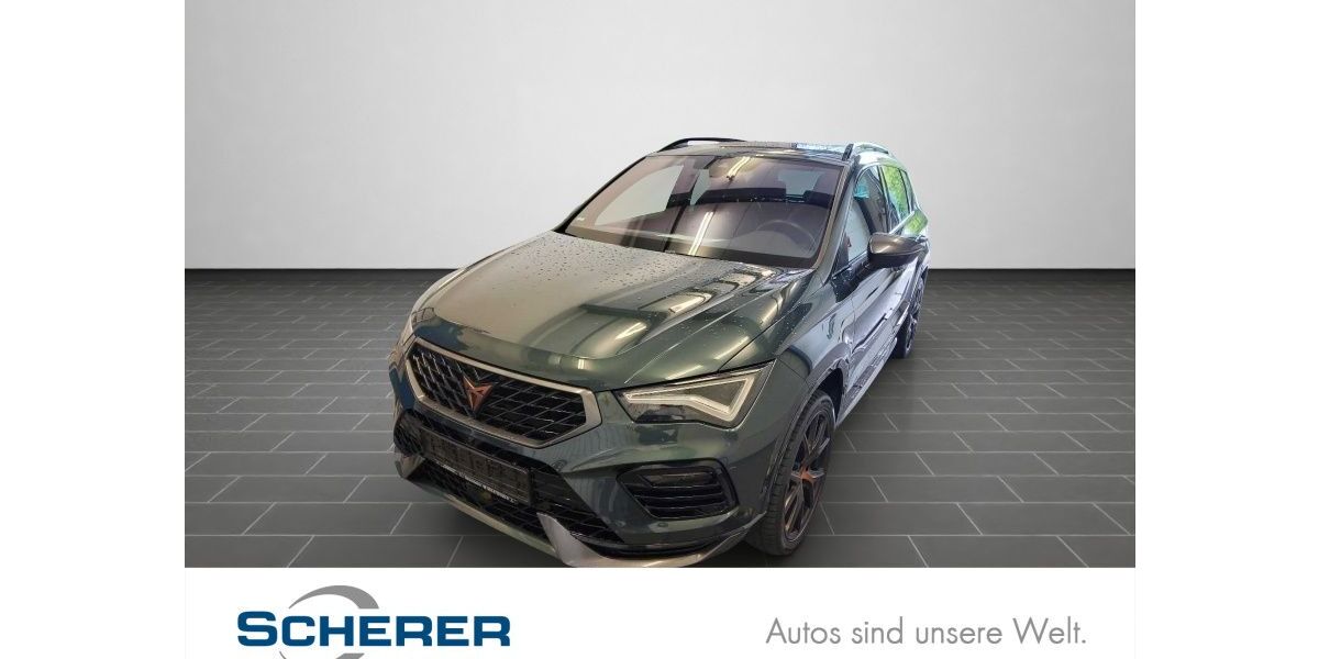 Cupra Ateca 91.459 km 32.980 &euro; Mainz 55129
