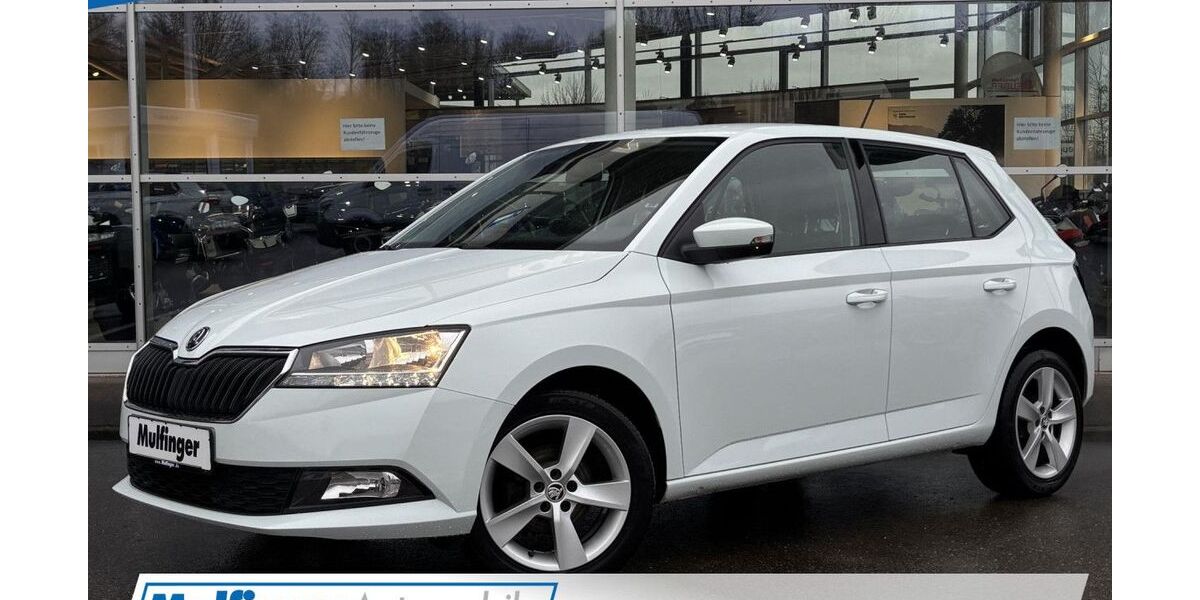 Skoda Fabia 118.000 km 7.840 &euro; Michelfeld 74545