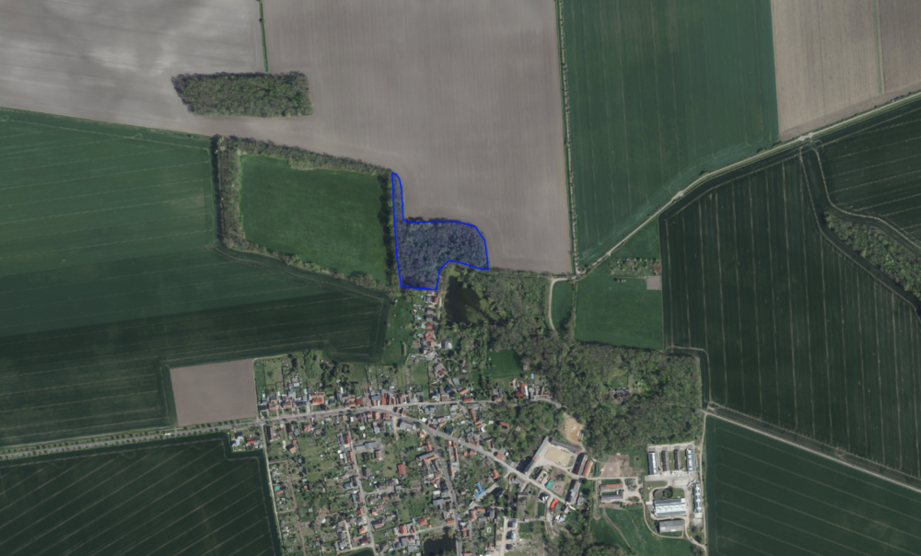 Grundstück zu verkaufen in 06369 Köthen (Anhalt) OT Merzien 55.000 € 20851 m² zimmer