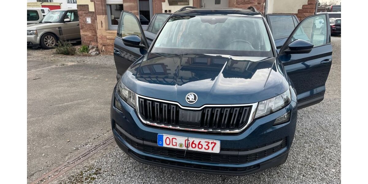 Skoda Kodiaq 134.000 km 18.450 &euro; Offenburg 77654