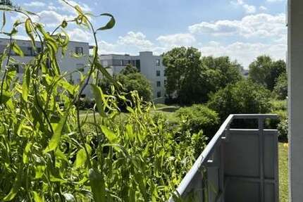Wohnung Wiesbaden - 3 Zimmer, 81 m&sup2;, 396.000&euro; | Angebot:26818202