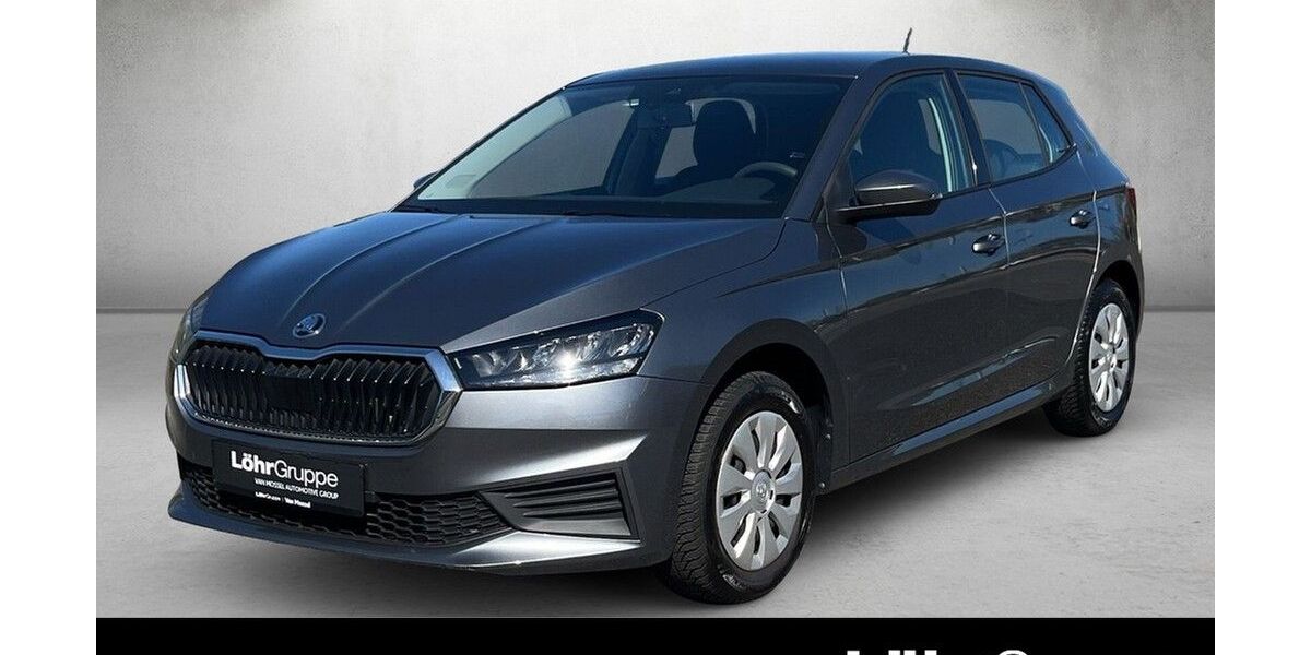 Skoda Fabia 7.552 km 16.480 &euro; Mainz 55120