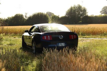 Ford Mustang 119.000 km 17.990 &euro; Ottendorf 24107