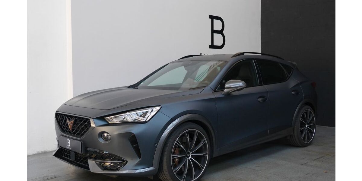 Cupra Formentor 82.800 km 29.990 &euro; Rohrdorf 72229