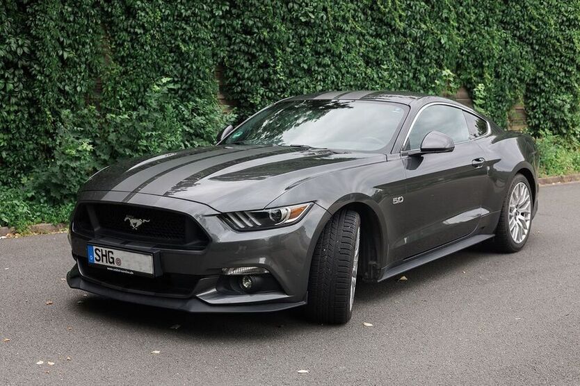 Mustang