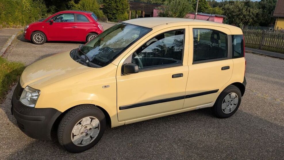 Panda