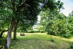 „Idyllisches Bauernhaus mit Teich & eigener Quelle – Ruhe, Natur und Geschichte vereint“ - Bauernhaus, Landhaus Weiding | Angebot:27091124