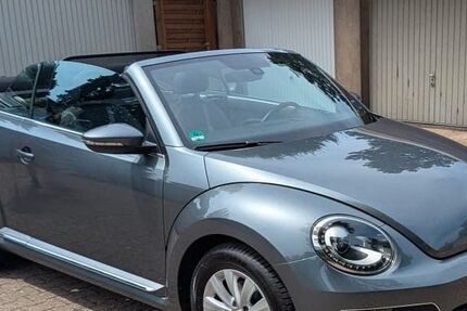 VW Beetle