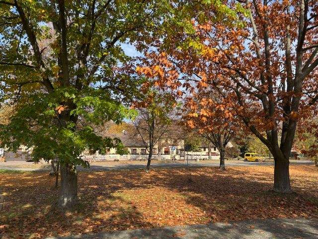 Grundstück Planebruch Oberjünne - 125.000&euro; | Angebot:25770013