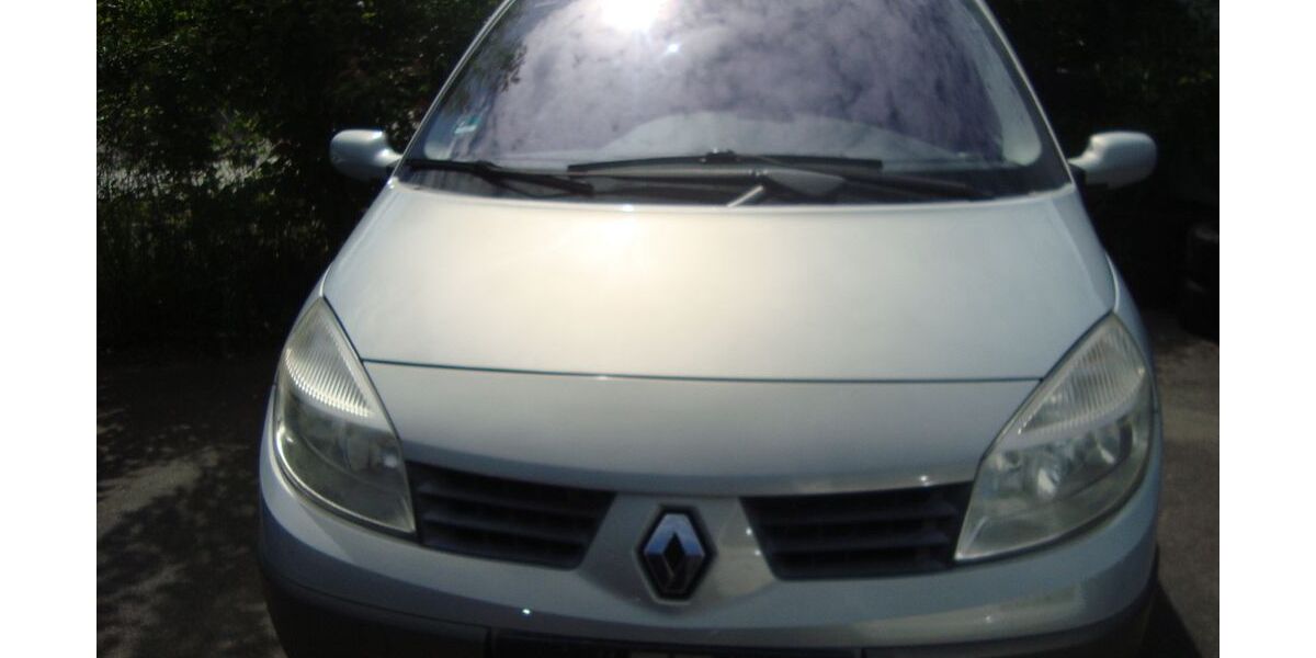 Renault Scenic 214.000 km 1.990 &euro; Friedrichshafen 88048