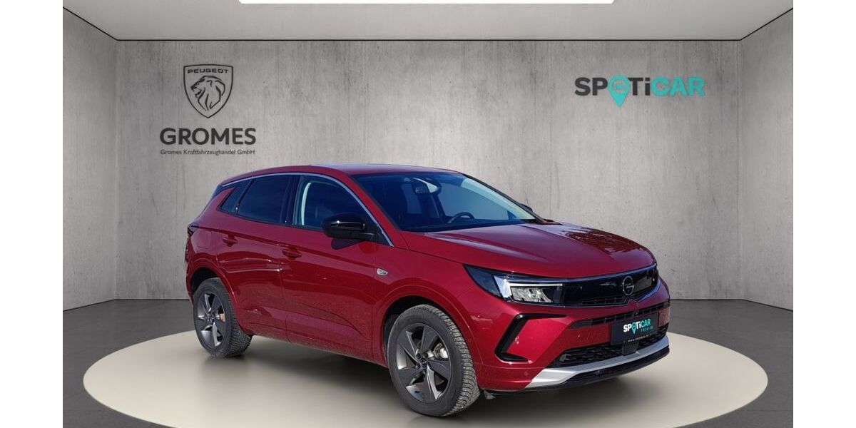 Opel Grandland (X) 8.160 km 19.990 &euro; Wartenberg 85456