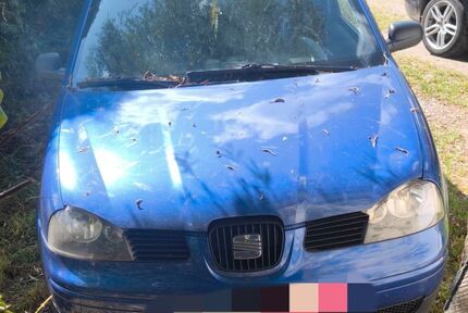 Seat Arosa