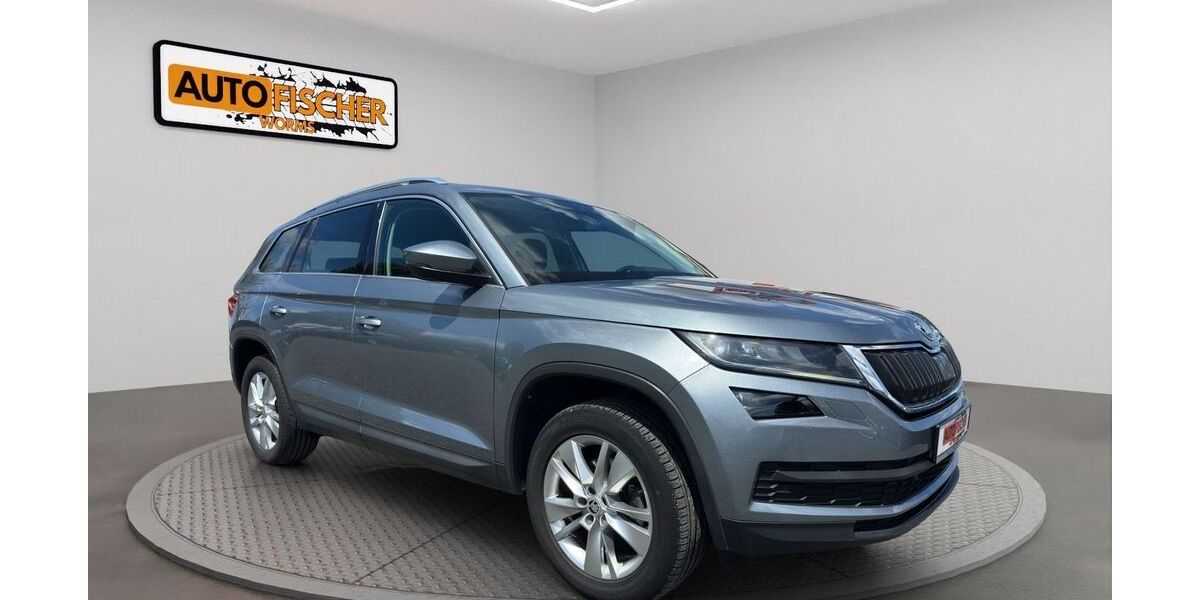 Skoda Kodiaq 124.030 km 18.900 &euro; Worms 67547