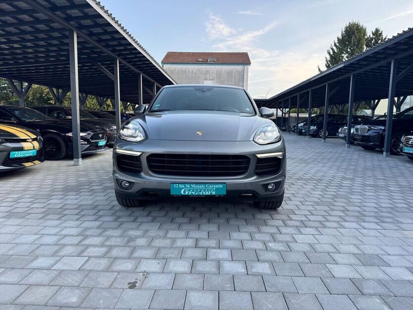 Cayenne